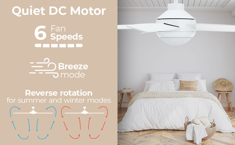 East Grove Home Airvana Smart Ceiling Fan - A Plus Content 4