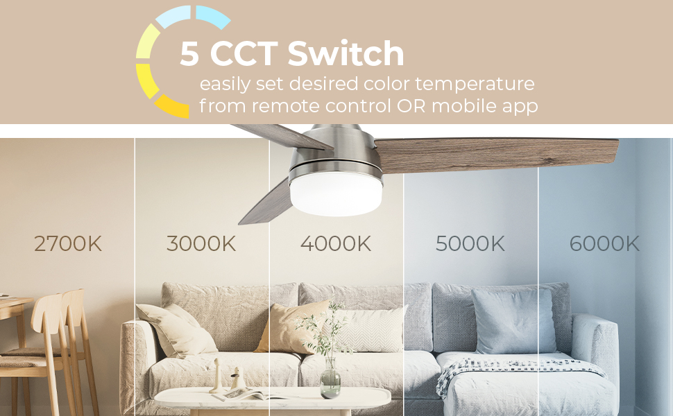 East Grove Home Gale Smart Ceiling Fan - A Plus Content