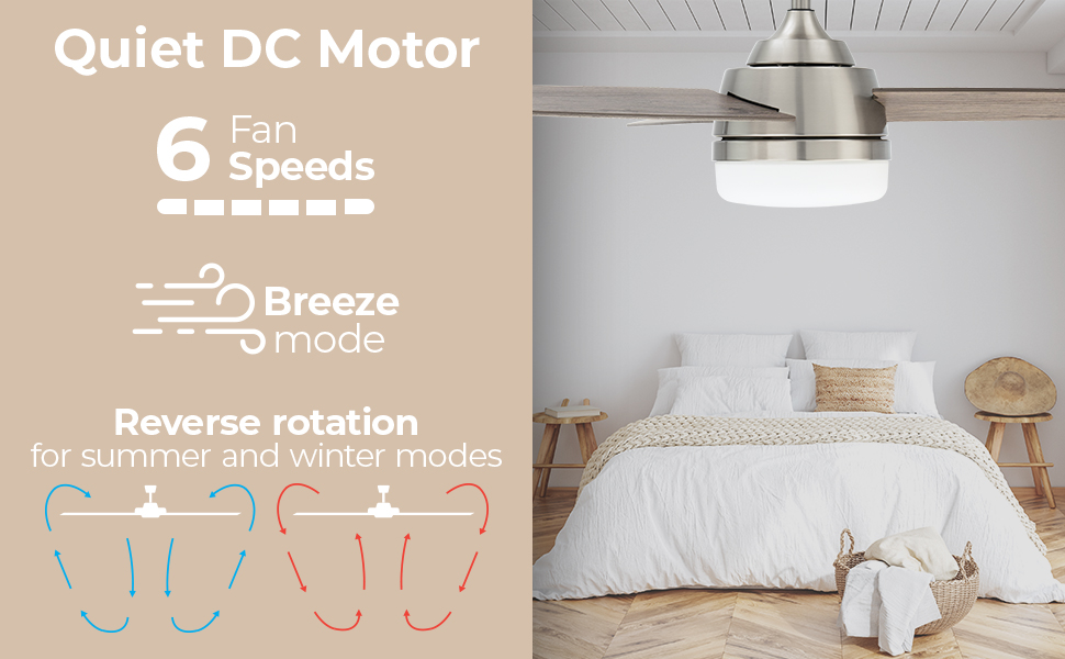 East Grove Home Gale Smart Ceiling Fan - A Plus Content 4