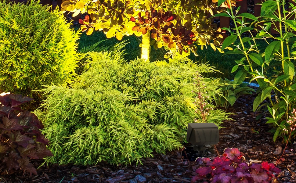 East Grove Home Amped 12V Landscape Flood Light - A Plus Content