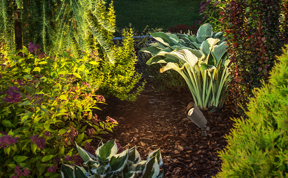 East Grove Home Amped 12V Landscape Accent Light - A Plus Content