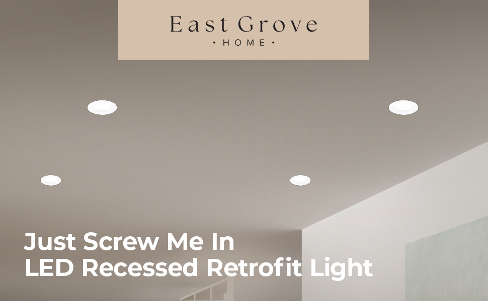 East Grove Home Just Screw Me In Recessed Retrofit Light - A Plus Content 1