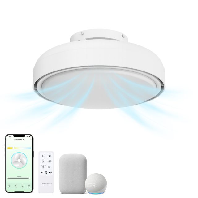 Flow Smart Flush Mount Ceiling Fan